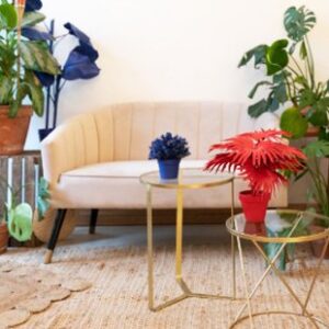 Location Table Basse Ronde OR